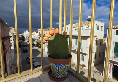 Casa Vacanze Regina Elena Apartment